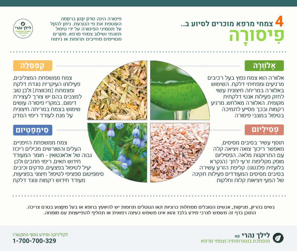 פיסורה טיפול טבעי