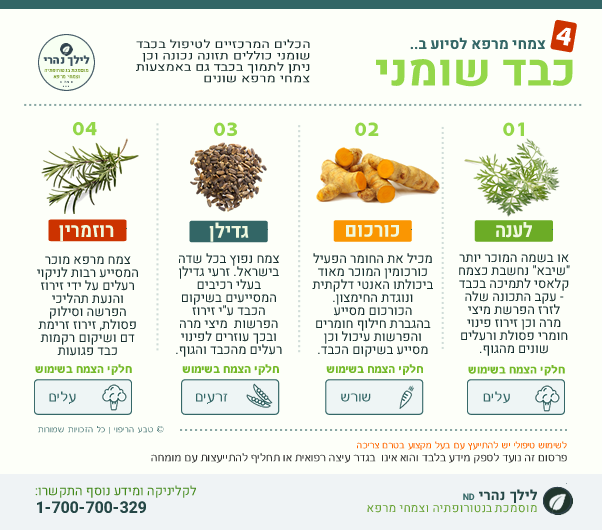 צמחי מרפא לטיפול טבעי בדרגות שונות כבד שומני