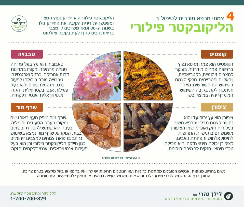 הליקובקטר פילורי טיפול טבעי