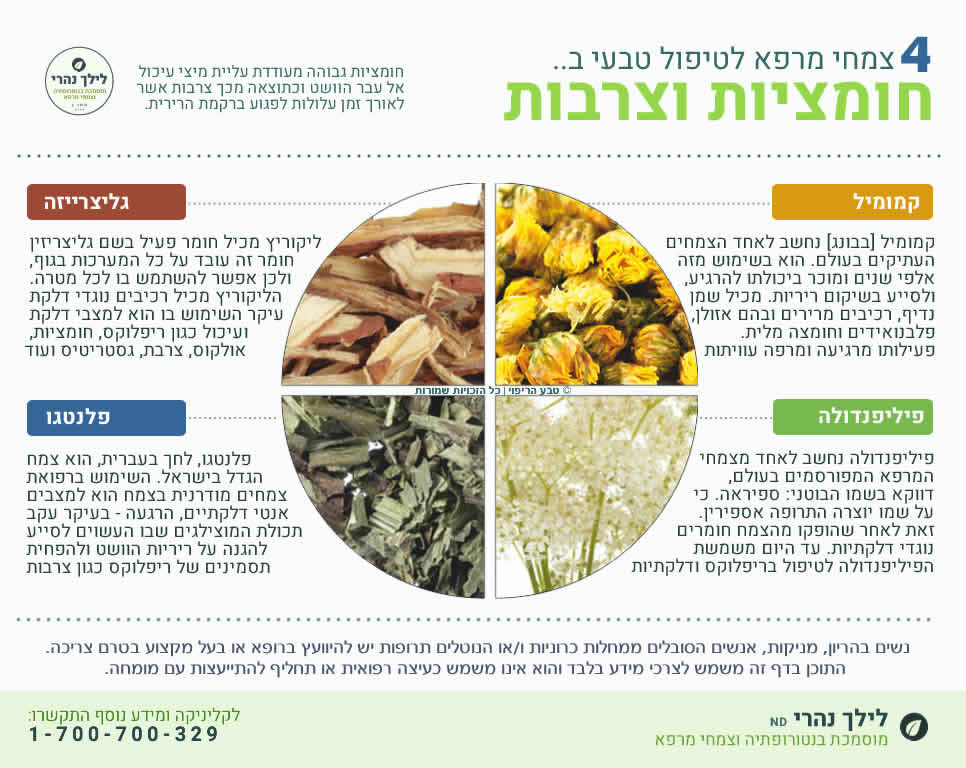 צמחי מרפא לטיפול בצרבות