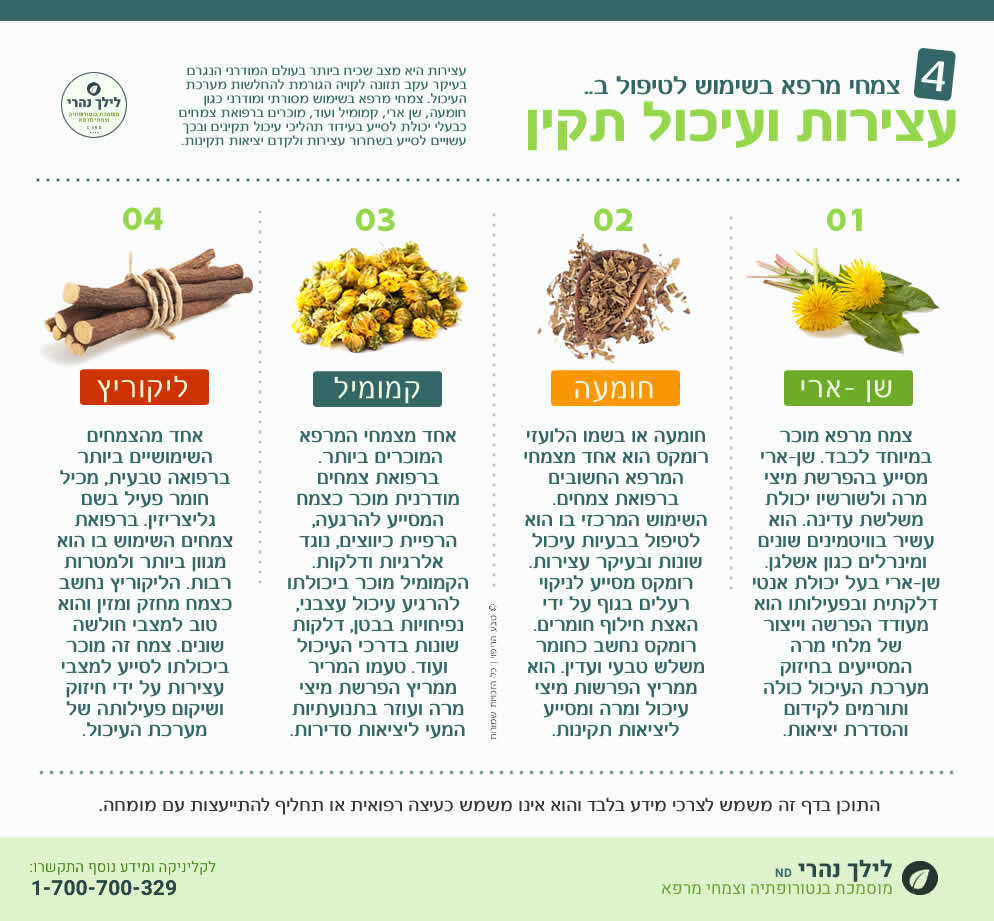 צמחי מרפא לטיפול בעצירות