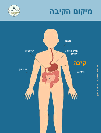 מה עושה נקסיום