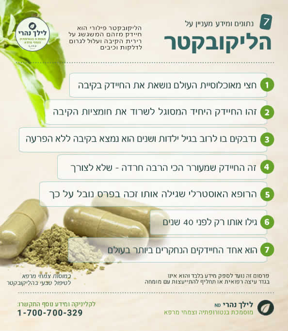 מידע ונתונים על חיידק הליקובקטר פילורי