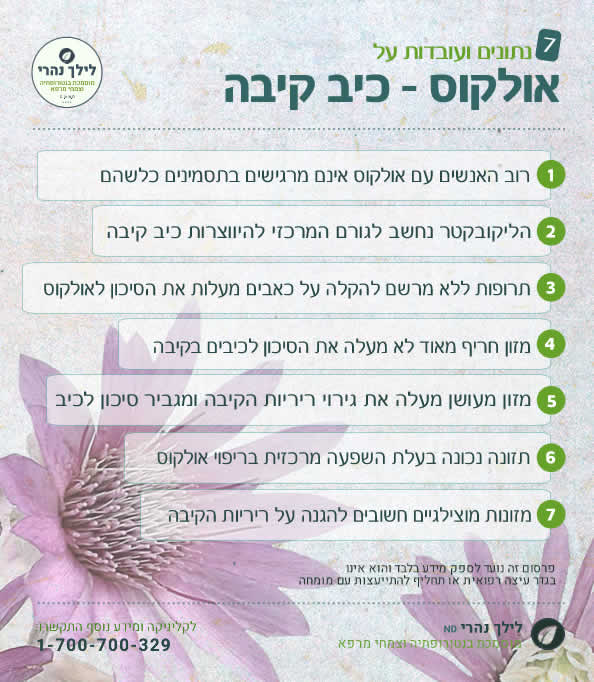 אולקוס -נתונים ועובדות